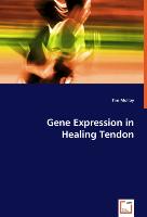 Gene Expression in Healing Tendon