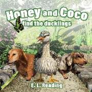 Honey and Coco find the ducklings