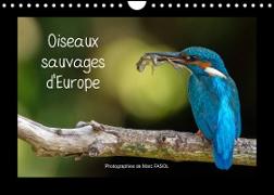 Oiseaux sauvages d'Europe (Calendrier mural 2022 DIN A4 horizontal)