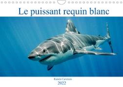 Le puissant requin blanc (Calendrier mural 2022 DIN A4 horizontal)