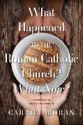 What Happened to the Roman Catholic Church? What Now?: An Institutional and Personal Memoir