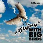 Flying with Big Birds
