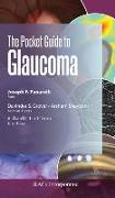 The Pocket Guide to Glaucoma