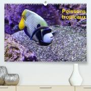 Poissons tropicaux (Premium, hochwertiger DIN A2 Wandkalender 2022, Kunstdruck in Hochglanz)