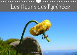 Les fleurs des Pyrénées (Calendrier mural 2022 DIN A4 horizontal)