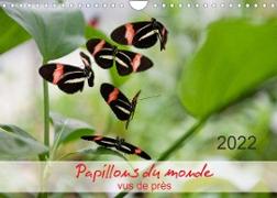 Papillons du monde, vus de près (Calendrier mural 2022 DIN A4 horizontal)