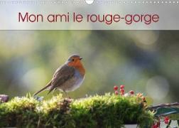 Mon ami le rouge-gorge (Calendrier mural 2022 DIN A3 horizontal)