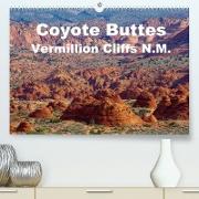 Coyote Buttes Vermillion Cliffs N.M. (Premium, hochwertiger DIN A2 Wandkalender 2022, Kunstdruck in Hochglanz)