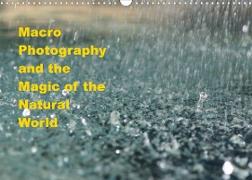 Macro Photography and the Magic of the Natural World (Wall Calendar 2022 DIN A3 Landscape)