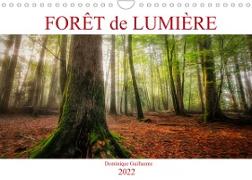 Forêt de lumière (Calendrier mural 2022 DIN A4 horizontal)
