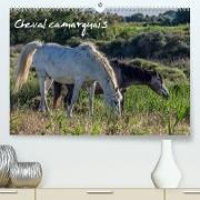 Cheval camarguais (Premium, hochwertiger DIN A2 Wandkalender 2022, Kunstdruck in Hochglanz)
