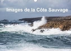 Images de la Côte Sauvage (Calendrier mural 2022 DIN A3 horizontal)