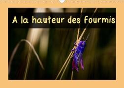 A la hauteur des fourmis (Calendrier mural 2022 DIN A3 horizontal)