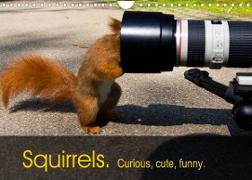 Squirrels. Curious, cute, funny. (Wall Calendar 2022 DIN A4 Landscape)