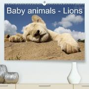 Baby animals - Lions (Premium, hochwertiger DIN A2 Wandkalender 2022, Kunstdruck in Hochglanz)