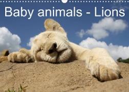 Baby animals - Lions (Wall Calendar 2022 DIN A3 Landscape)