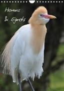 Herons & Egrets (Wall Calendar 2022 DIN A4 Portrait)