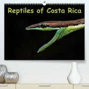 Reptiles of Costa Rica / UK-version (Premium, hochwertiger DIN A2 Wandkalender 2022, Kunstdruck in Hochglanz)