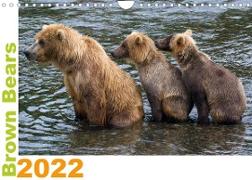 Brown Bears 2022 UK-Version (Wall Calendar 2022 DIN A4 Landscape)