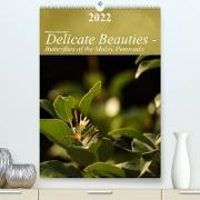 Delicate Beauties - Butterflies of the Malay Peninsula (Premium, hochwertiger DIN A2 Wandkalender 2022, Kunstdruck in Hochglanz)