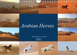 Arabian Horses (Wall Calendar 2022 DIN A4 Landscape)