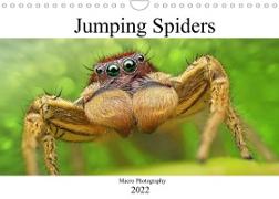 Jumping Spiders (Wall Calendar 2022 DIN A4 Landscape)