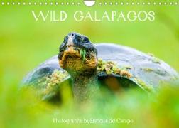WILD GALAPAGOS (Wall Calendar 2022 DIN A4 Landscape)