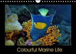 Colourful Marine Life (Wall Calendar 2022 DIN A4 Landscape)