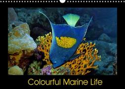 Colourful Marine Life (Wall Calendar 2022 DIN A3 Landscape)