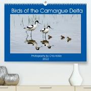 Birds of the Camargue Delta (Premium, hochwertiger DIN A2 Wandkalender 2022, Kunstdruck in Hochglanz)