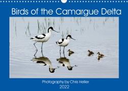 Birds of the Camargue Delta (Wall Calendar 2022 DIN A3 Landscape)
