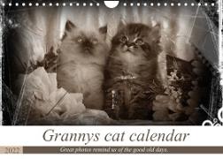Granny's cat calendar (Wall Calendar 2022 DIN A4 Landscape)