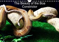 The Beauty of the Boa Constrictors (Wall Calendar 2022 DIN A4 Landscape)
