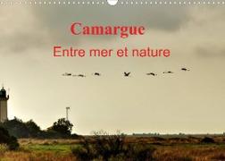 Camargue Entre mer et nature (Calendrier mural 2022 DIN A3 horizontal)