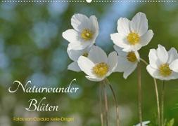Naturwunder Blüten (Wandkalender 2022 DIN A2 quer)