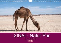 Sinai - Natur Pur (Wandkalender 2022 DIN A4 quer)