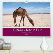 Sinai - Natur Pur (Premium, hochwertiger DIN A2 Wandkalender 2022, Kunstdruck in Hochglanz)