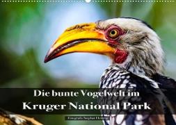 Die bunte Vogelwelt im Kruger National Park (Wandkalender 2022 DIN A2 quer)