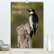 Belizean Birds (Premium, hochwertiger DIN A2 Wandkalender 2022, Kunstdruck in Hochglanz)