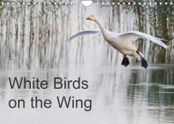 White Birds on the Wing (Wall Calendar 2022 DIN A4 Landscape)