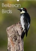 Belizean Birds (Wall Calendar 2022 DIN A3 Portrait)