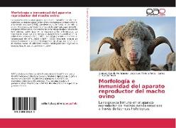 Morfología e inmunidad del aparato reproductor del macho ovino