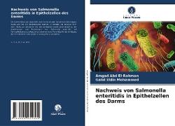 Nachweis von Salmonella enteritidis in Epithelzellen des Darms