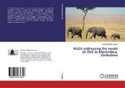 NGOs addressing the needs of OVC in Marondera, Zimbabwe