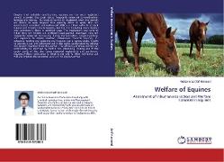 Welfare of Equines