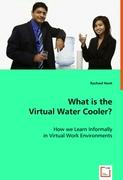 What is the Virtual Water Cooler?