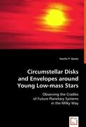 Circumstellar Disks and Envelopes around Young Low-mass Stars