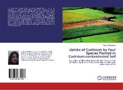 Uptake of Cadmium by Four Species Planted in Cadmium-contaminated Soil