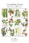 Kalender Chinesische Heilpflanzen