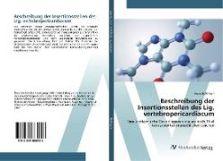 Beschreibung der Insertionsstellen des Lig. vertebropericardiacum